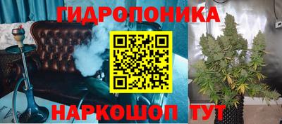 мдпв Лесосибирск