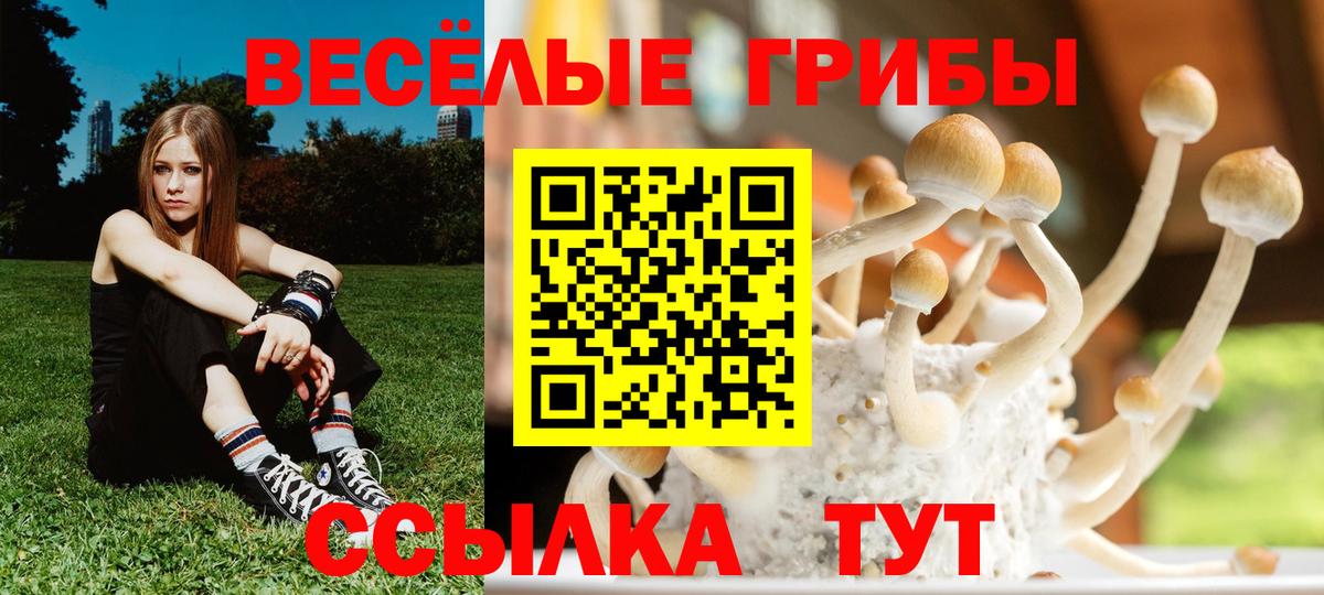 Дубна  Галлюциногенные грибы мухоморы  Вход с VPN  Псилоцибиновые грибы ЛСД 